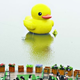 Illustration for article titled In China, There Are Too Many Giant Rubber Duck Rip-Offs